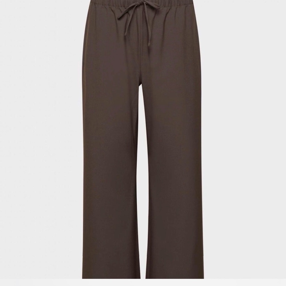Aritzia lodge pants